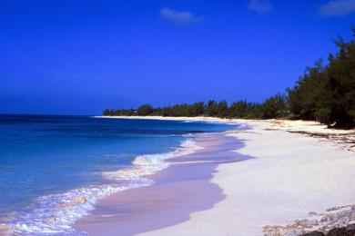 Sandee - Gilliam Bay Beach