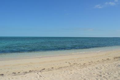 Sandee - Old Bahama Beach