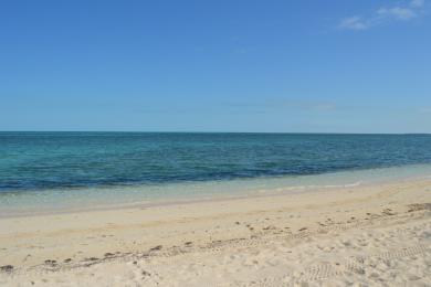Sandee - Old Bahama Beach