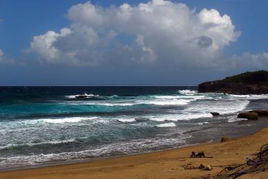 Sandee Guajataca Beach Photo