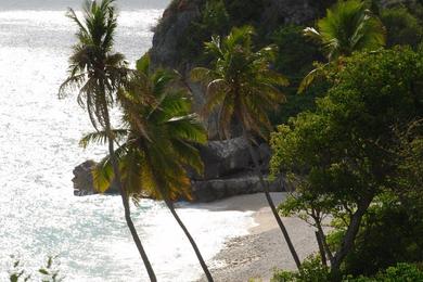 Sandee L'Hemitage Beach