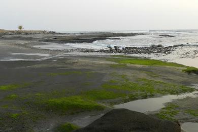 Sandee Milagro Del Mar Beach