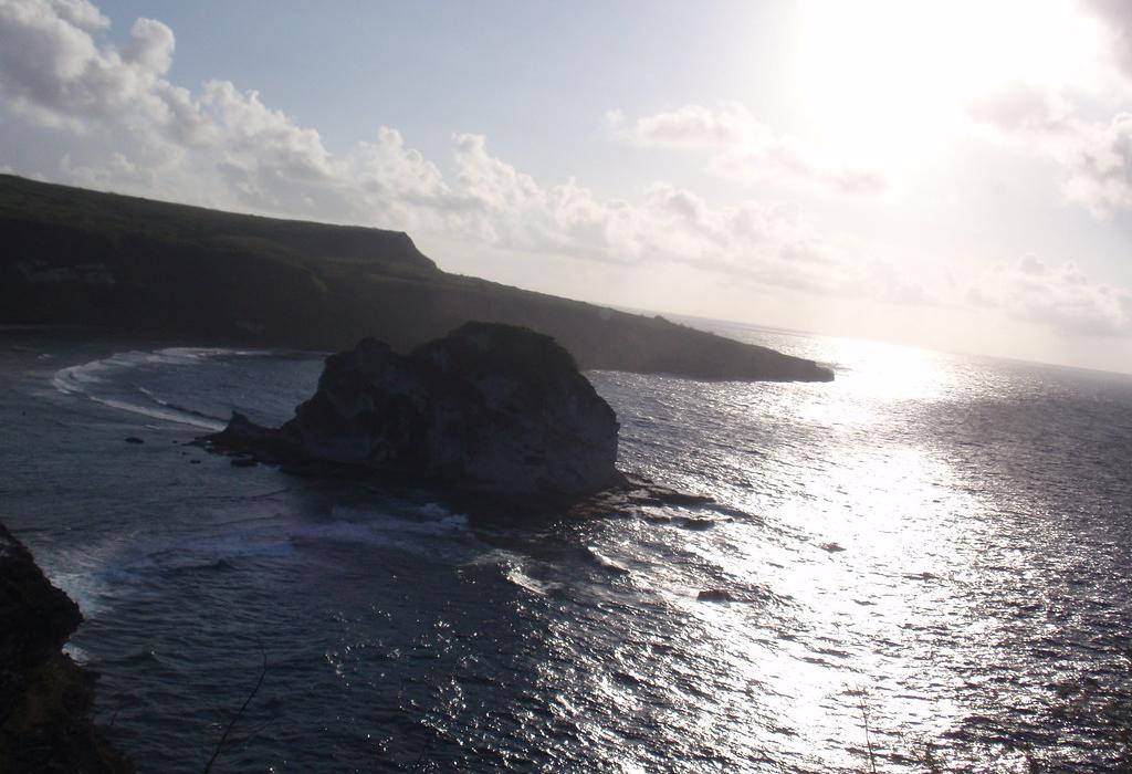 Sandee Bird Island Beach