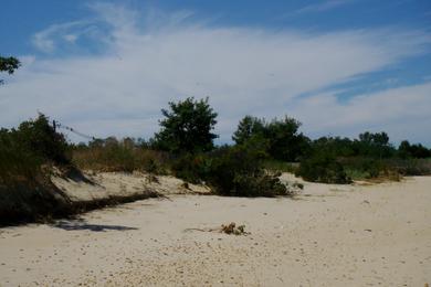 Sandee Cliffwood Beach Waterfront Park Photo