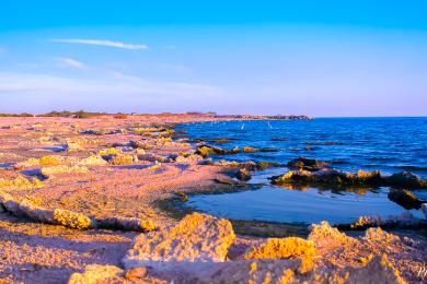 Sandee - Salton Sea