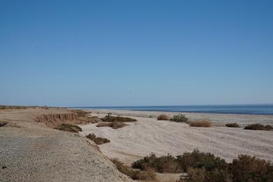 Sandee - Salton Sea