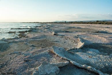 Sandee - Salton Sea