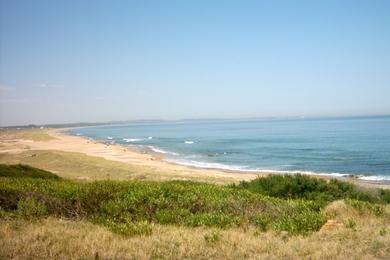 Sandee Playa De Punta Negra Photo