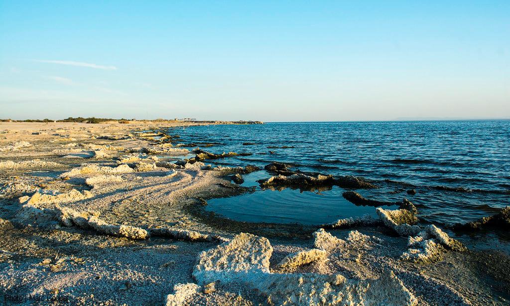 Sandee Salton Sea