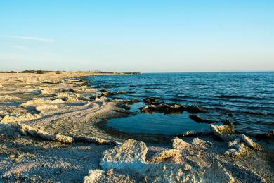 Sandee Salton Sea