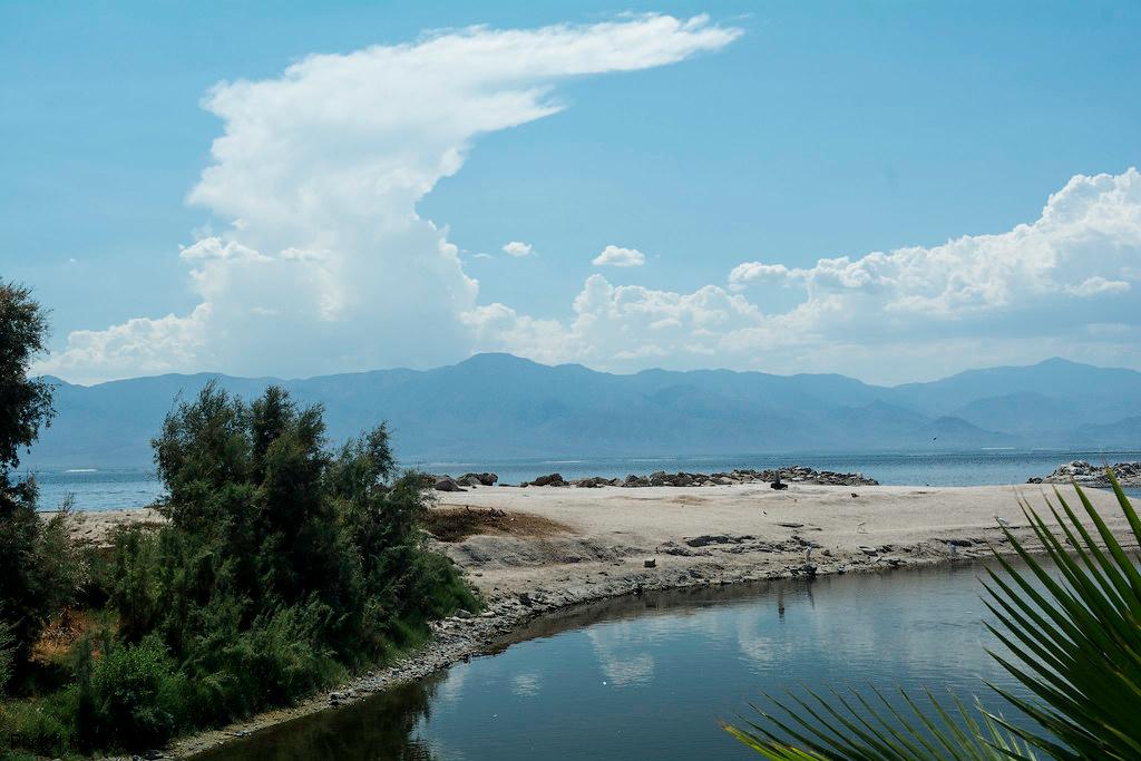 Sandee - Salton Sea