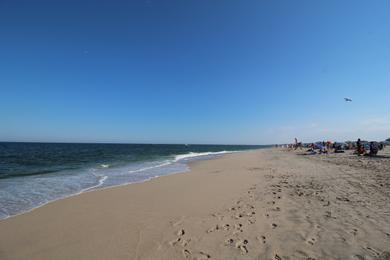 Sandee - Point Pleasant Jenkinson's Beach