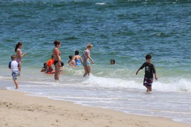 Sandee Point Pleasant Risden's Beach Photo