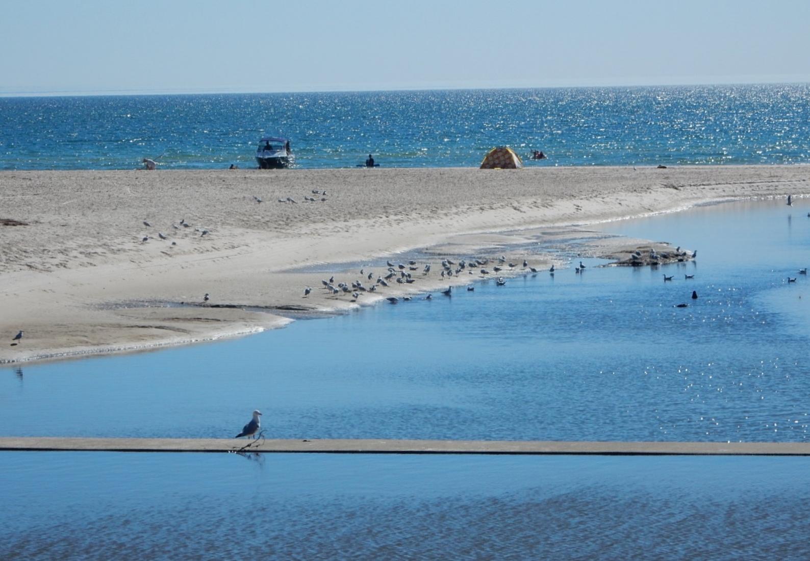 Sandee - Henley Beach