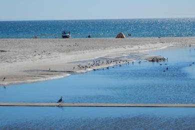 Sandee - Henley Beach