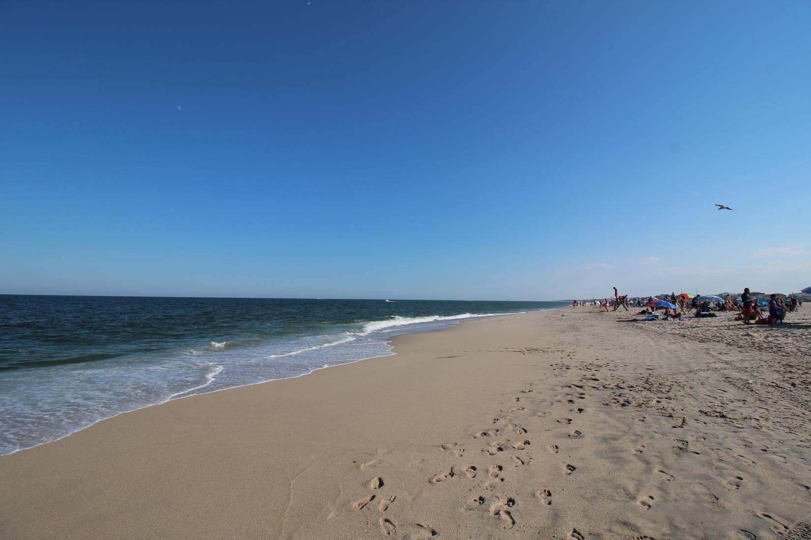 Sandee - Point Pleasant Bradshaw's Beach