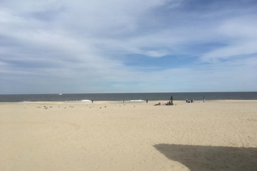Sandee Point Pleasant Bradshaw's Beach