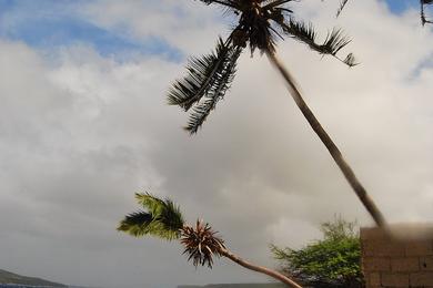 Sandee Mole St. Nicolas Beach Photo