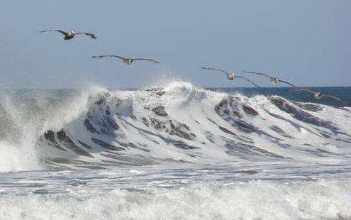 Sandee Playa Salinas Grandes Photo