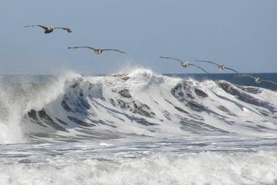 Sandee Playa Salinas Grandes Photo