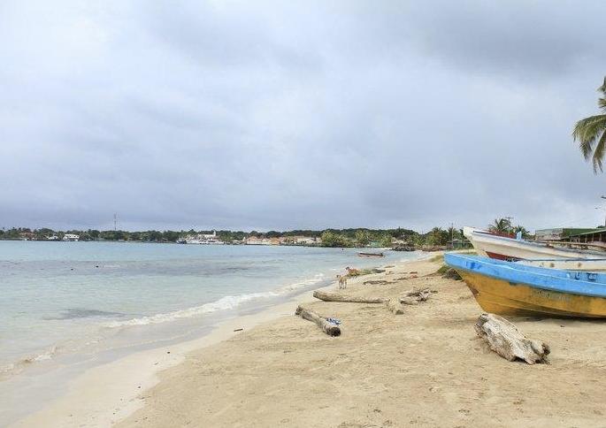 Sandee - Waula Point Beach