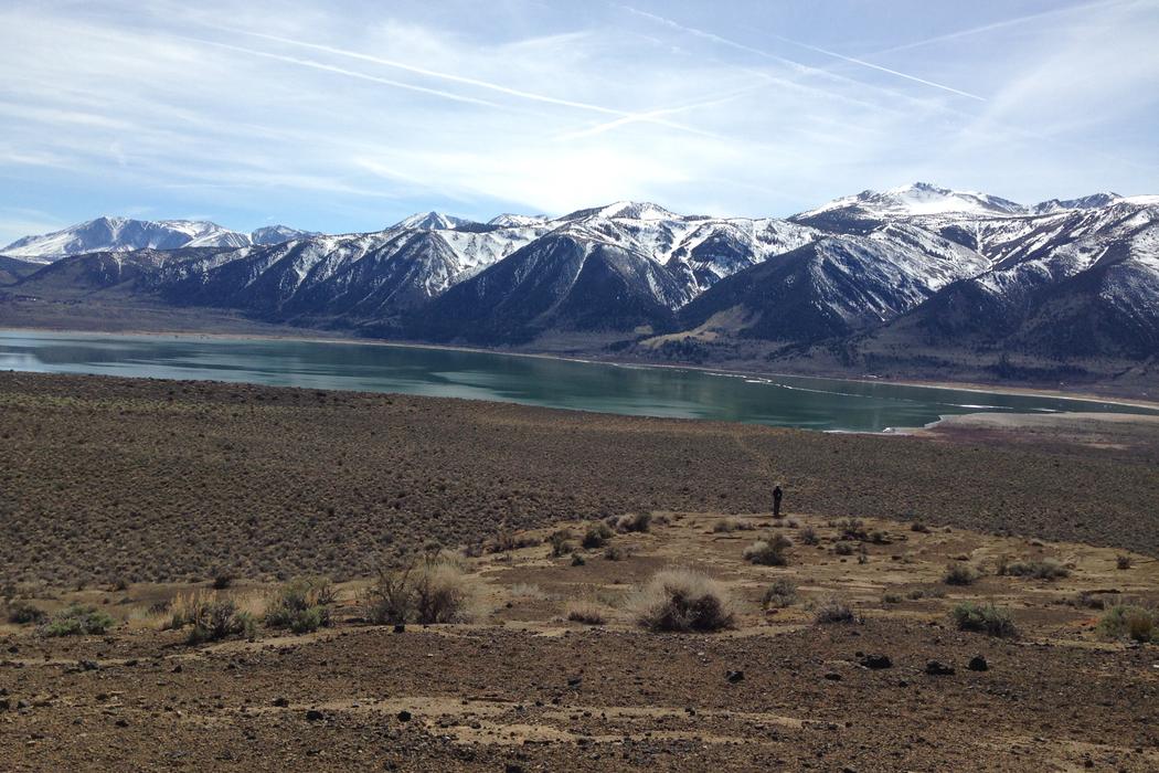 Sandee Mono Lake Black Point Photo