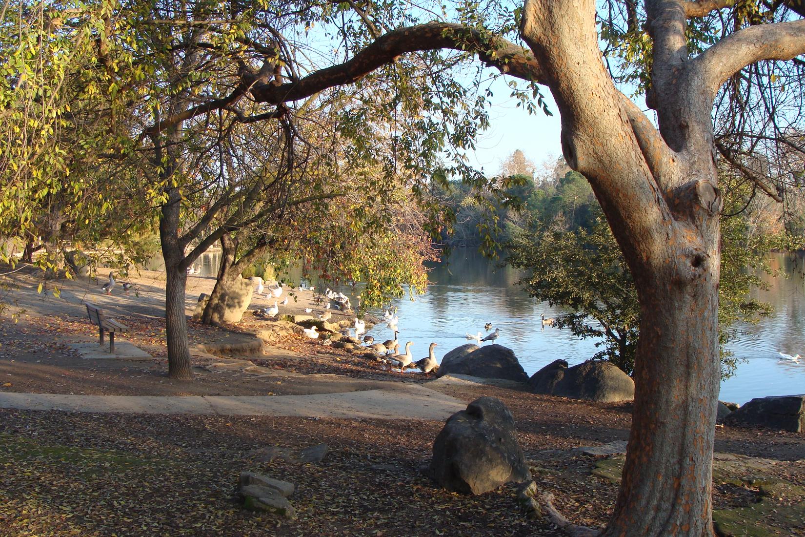 Sandee - Woodward Reservoir Regional Park