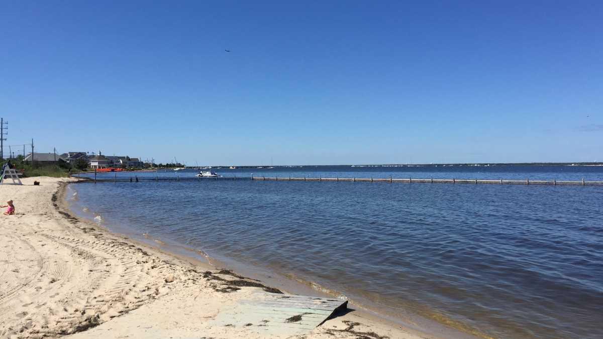 Sandee - Barnegat Bay Beach