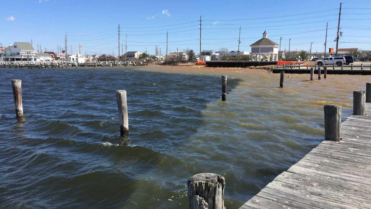 Sandee - Barnegat Bay Beach