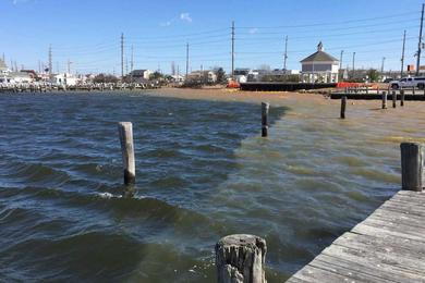 Sandee - Barnegat Bay Beach