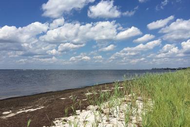 Sandee - Barnegat Bay Beach