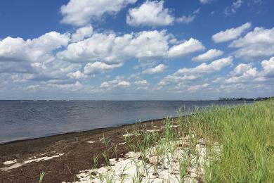 Sandee Barnegat Bay Beach