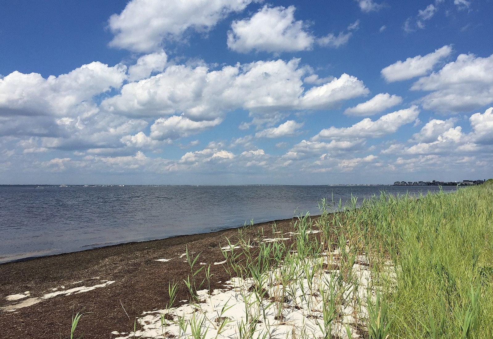 Sandee - Barnegat Bay Beach