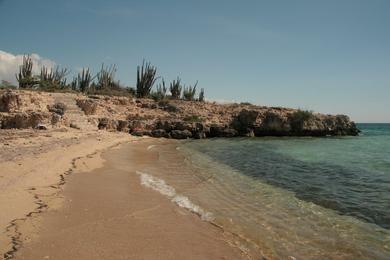 Sandee - Anse Rouge Beach