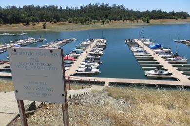 Sandee Browns Ravine Folsom Lake Photo