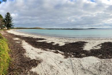 Sandee Cheynes Beach