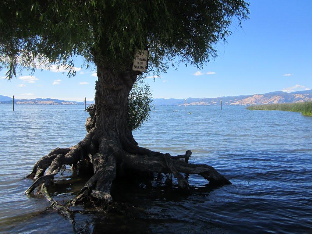 Sandee - Lakeside County Park