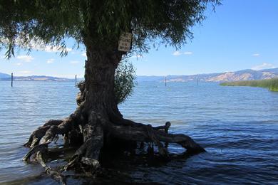 Sandee - Lakeside County Park