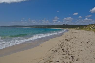 Sandee - Hamelin Bay