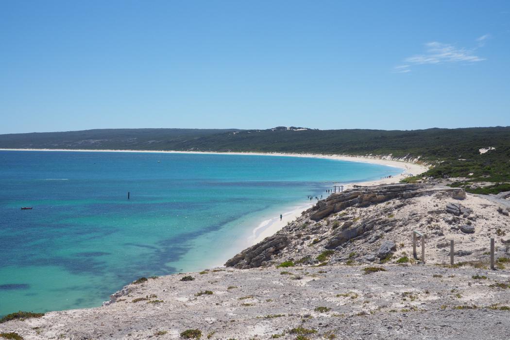 Sandee Hamelin Bay Photo