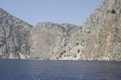 Sandee Giorgis Disalonas