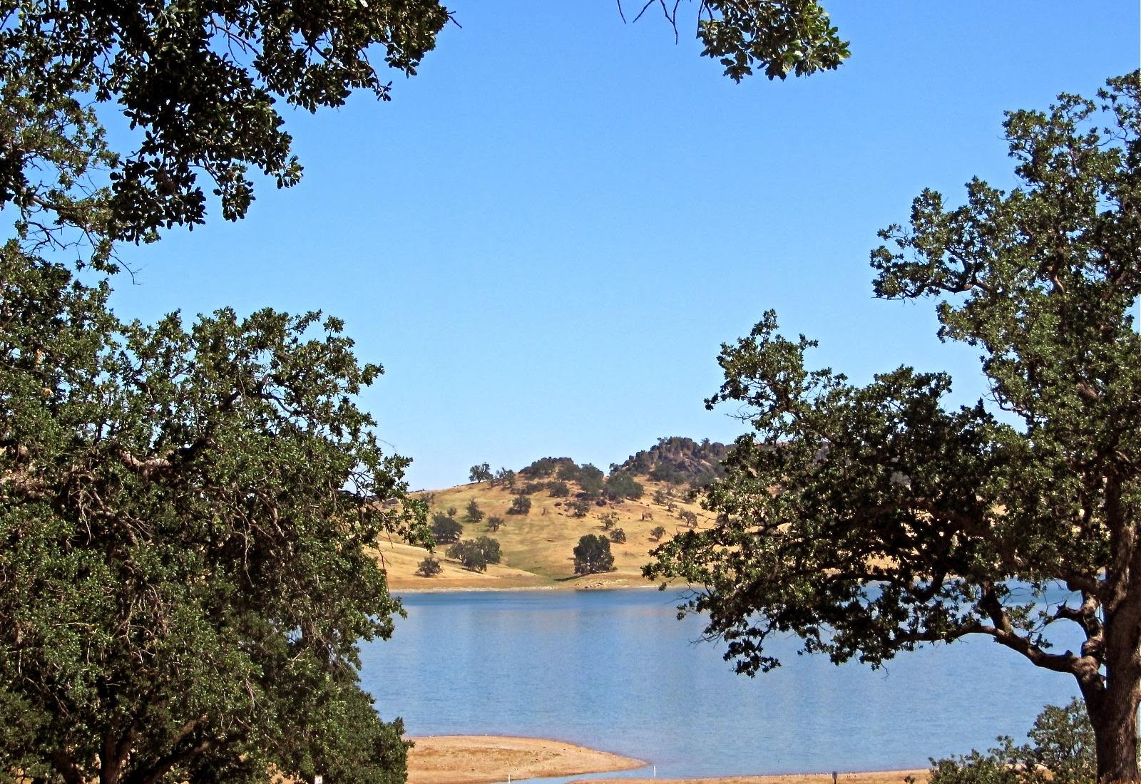 Sandee - Buckhorn Recreation Area