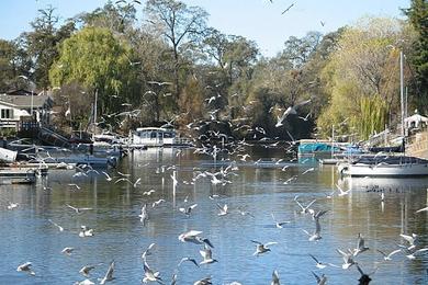 Sandee - Lakeside County Park