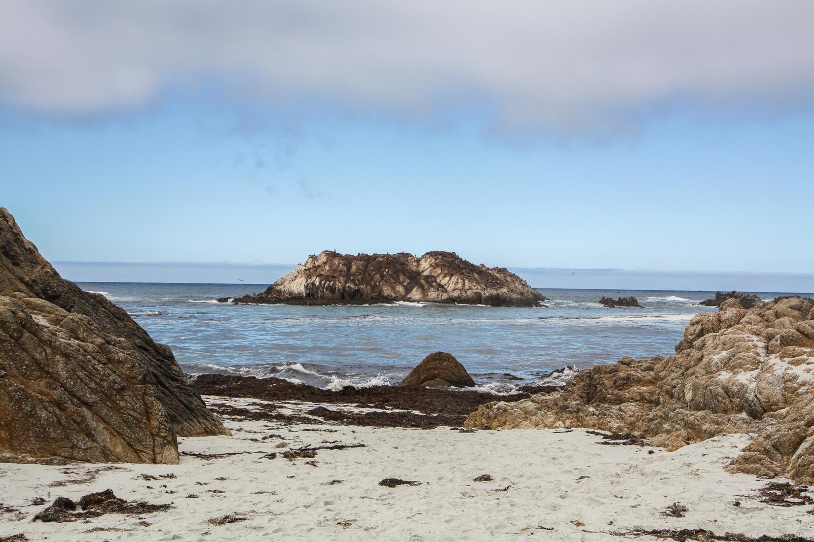 Sandee - Seal Rock Creek Beach