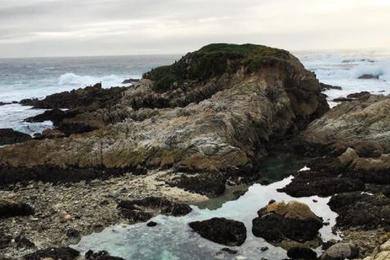 Sandee - Seal Rock Creek Beach