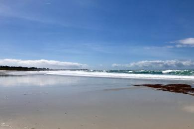 Sandee Seal Rock Creek Beach Photo