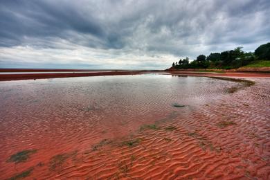 Sandee - Argyle Shore Provincial Park