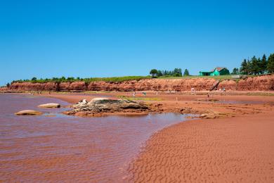 Sandee Argyle Shore Provincial Park Photo