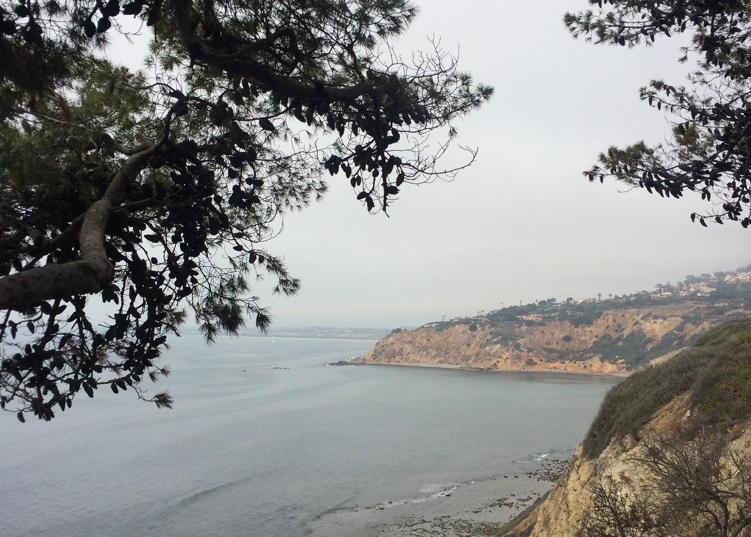 Sandee - Malaga Cove Beach