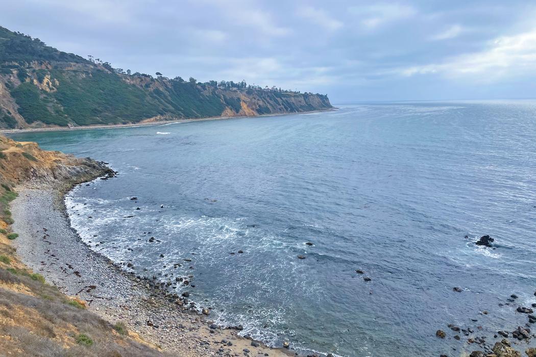 Sandee Bluff Cove Beach